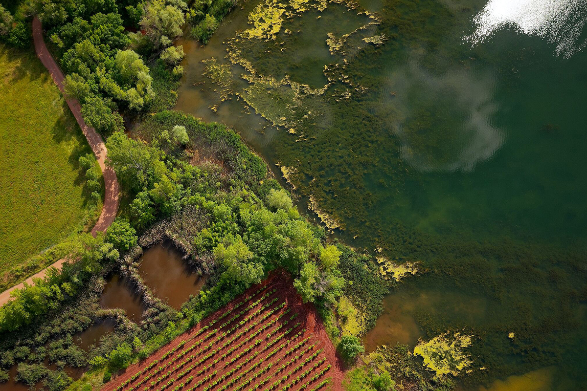 Tontin myynti ja verotus - miten tontti myydään